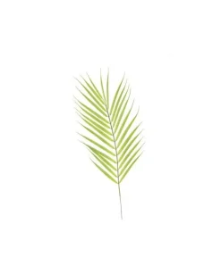 Addobbo Foglia Di Palme 69Cm