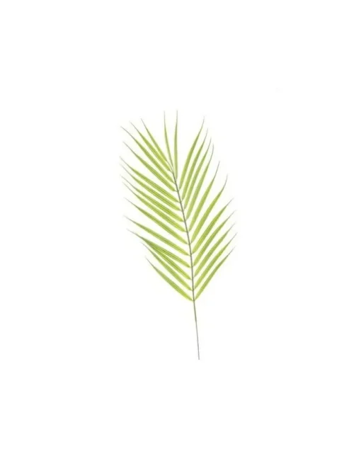 Addobbo Foglia Di Palme 69Cm