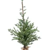 Albero Di Natale 150 Cm 194 Tips Con Base In Juta |