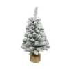 Albero Di Natale Imperiale Innevato Mini Per Interni 75 Cm