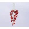 Appendino Grappolo Di Petali Rosso