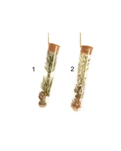 Decoro Da Albero Rametto Gliacciato In Contenitore Di Vetro