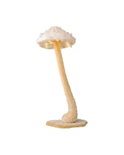 Decoro Per Albero Fungo Luminoso Con Led 30 Cm A Batteria