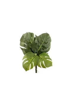 6 Foglie Philo H40Cm