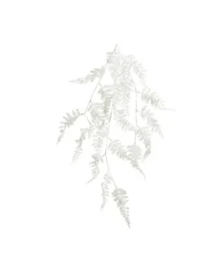Mazzo Di Felce Colore White