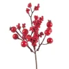 Pick Bacche Rosse