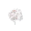 Pick Ortensia H19 O12 Beige Per Decorazioni E Allestimenti Di Natale