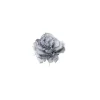 Pick Peonia Blu