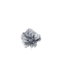 Pick Peonia Blu