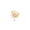 Pick Peonia Crema