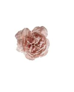 Pick Peonia Innevata 23Cm Cipria Decorazioni Natalizie