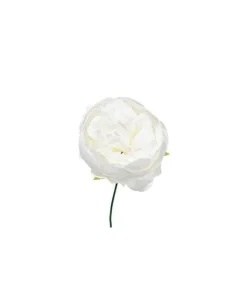 Pick Peonia O11Cm H19Cm Bianca Per Decorazioni Di Natale