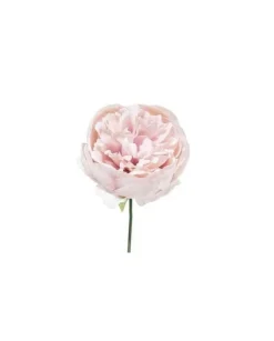 Pick Peonia O11Cm H19Cm Vaniglia Per Decorazioni Di Natale