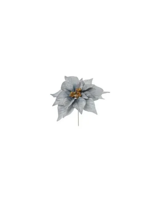Pick Poinsettia Blu