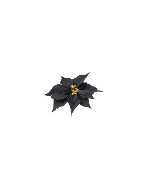 Pick Poinsettia Nero