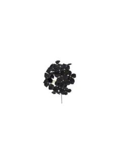 Pick Ramo Ortensia Nero