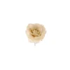 Pick Rosa Crema