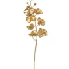Ramo Phalenopsis 76Cm Oro Per Decori Natalizi