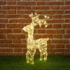 Renna Di Cristalli Acrilico 100 Led 4M+H70Cm