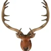 Testa Di Cervo Marrone 32X22X53