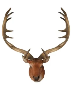 Testa Di Cervo Marrone 32X22X53