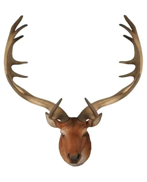 Testa Di Cervo Marrone 32X22X53