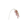 Tralcio Glicine Rosa